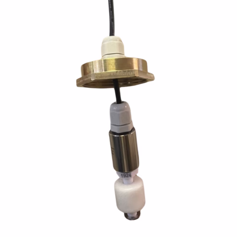 siingle-fuel-probe.avif